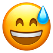 grinning face with sweat